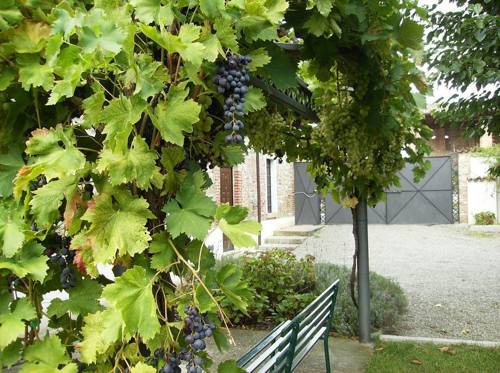 Agriturismo Casa Garello Salice Terme Kültér fotó